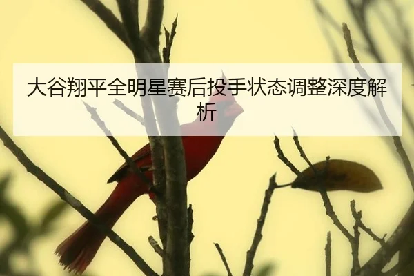 da-gu-xiang-ping-quan-ming-xing-sai-hou-tou-shou-zhuang-tai-tiao-zheng-shen-du-jie-xi-3-680.jpg