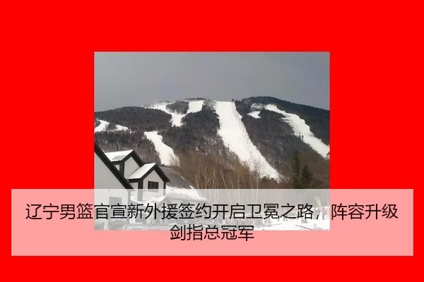 liao-ning-nan-lan-guan-xuan-xin-wai-yuan-qian-yue-kai-qi-wei-mian-zhi-lu-zhen-rong-sheng-ji-jian-zhi-zong-guan-jun-2-647.jpg